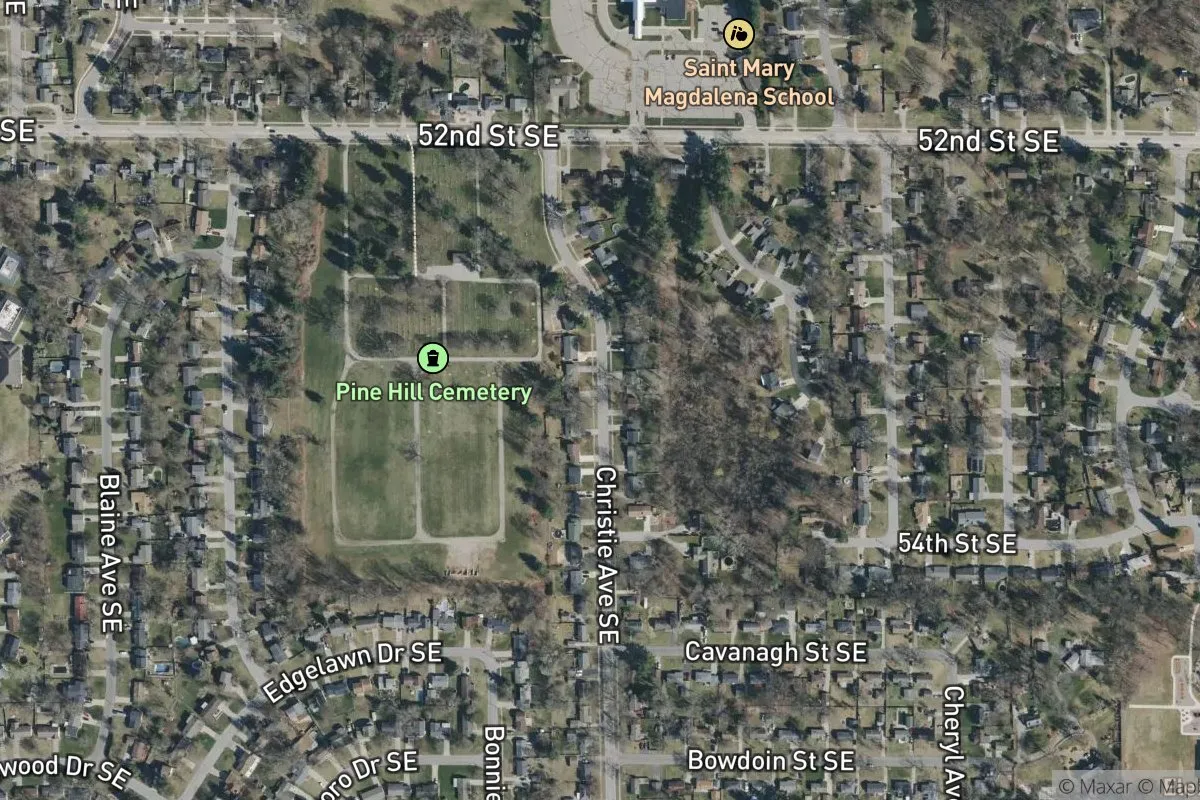 Glenwood Forest No.4 photo 1