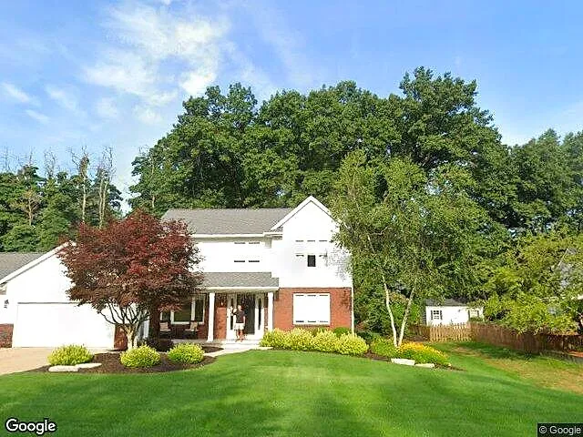 Arbor Shores photo 2