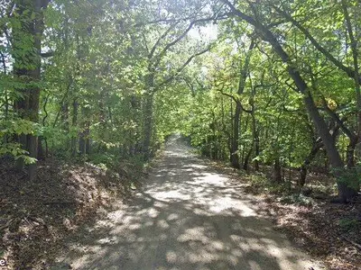 Ada township