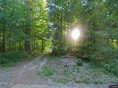 Cedar Woods