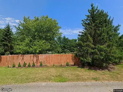 Tall Pines