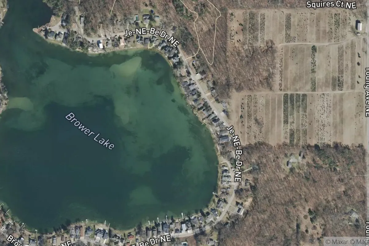 Brower Lake Park photo 1