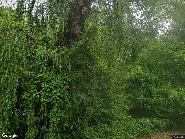Assessor'S Plat Grand River Park photo 5
