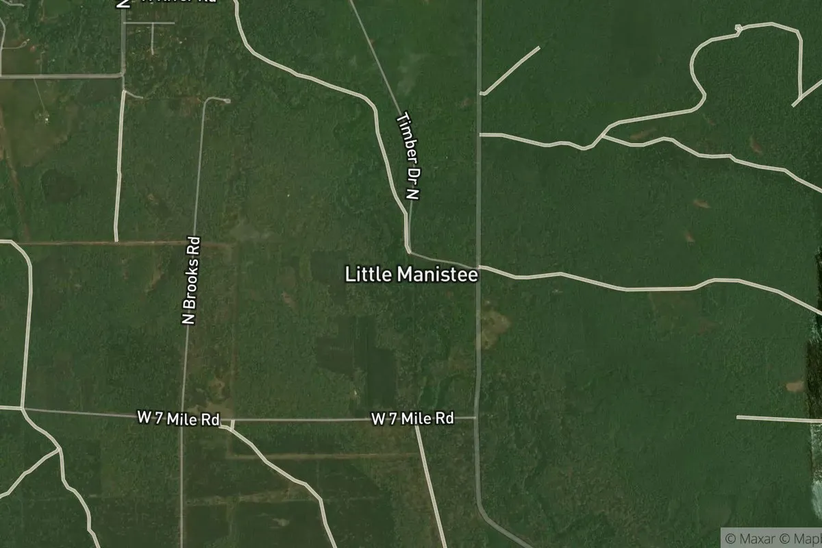 Little Manistee photo 1
