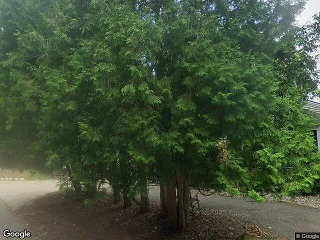 Shag Bark Plat photo 10