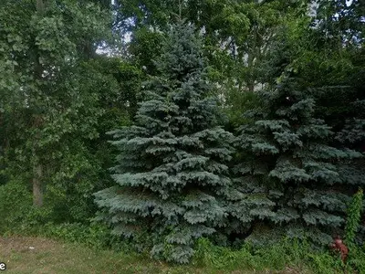 Grand Island View Park