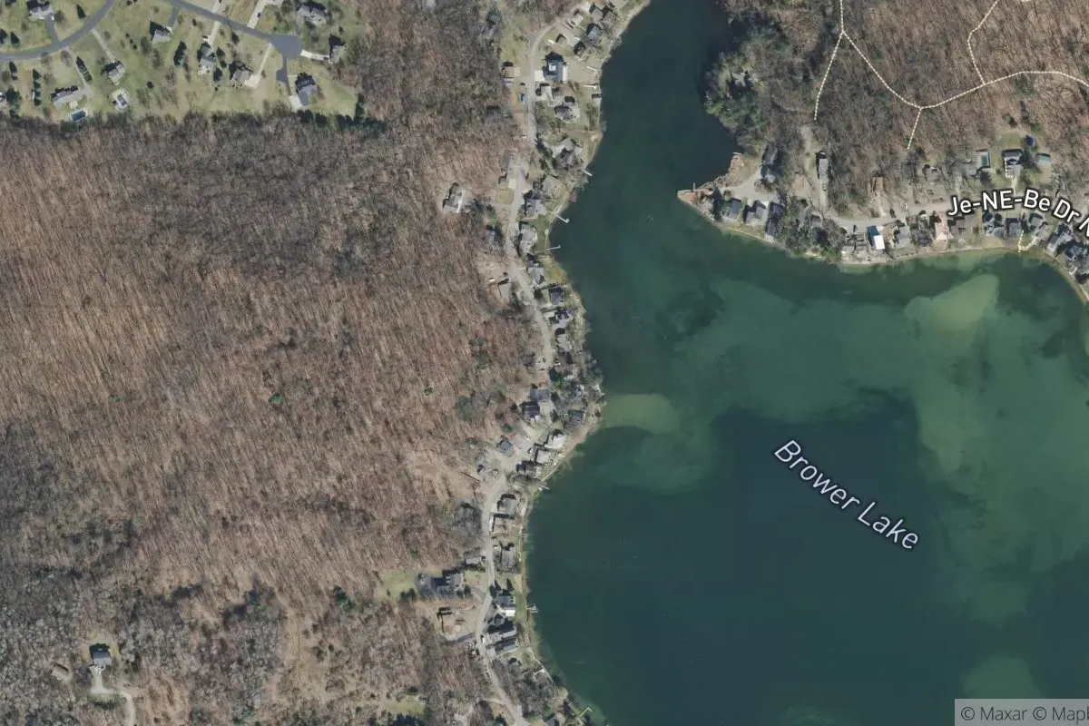 E. A. Smith's First Plat of Brower Lake No.1 photo 1