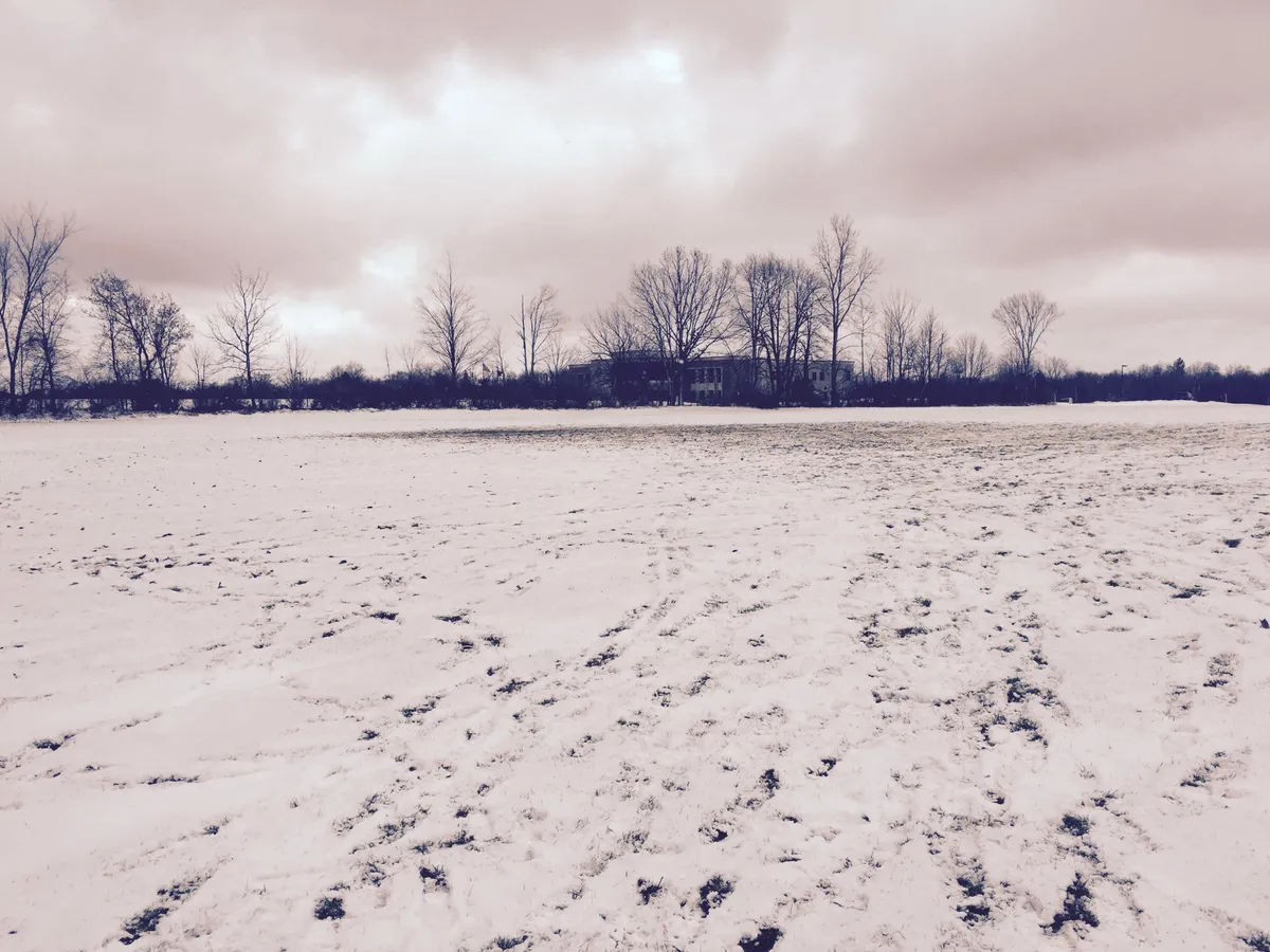 East Lake Area photo 3