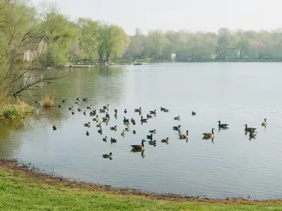 Black Lake
