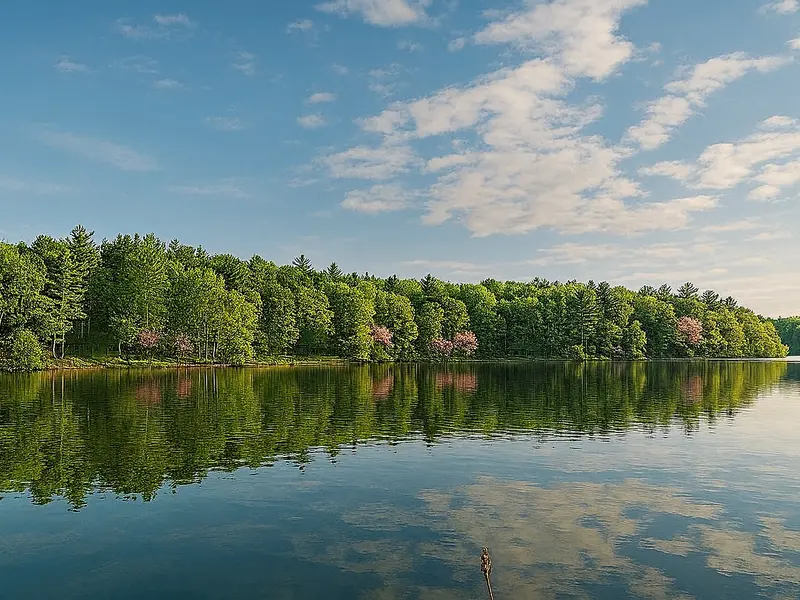 Deer Lake