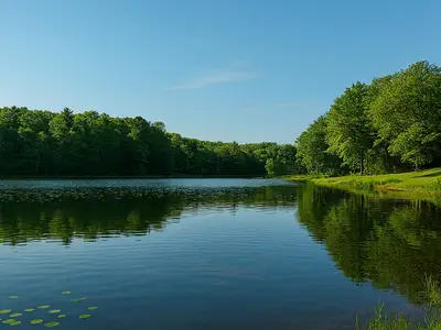 Fry Lake