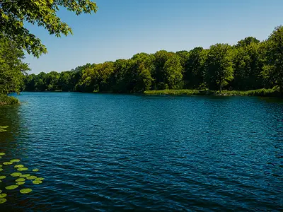Sheffer Lake