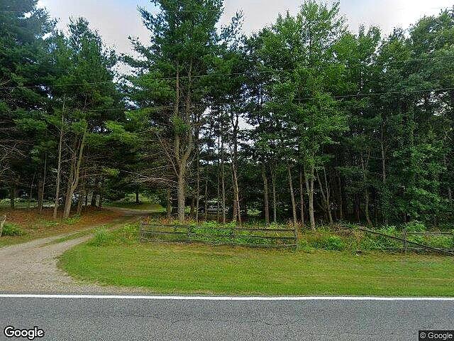 Chanterelle Meadows photo 4