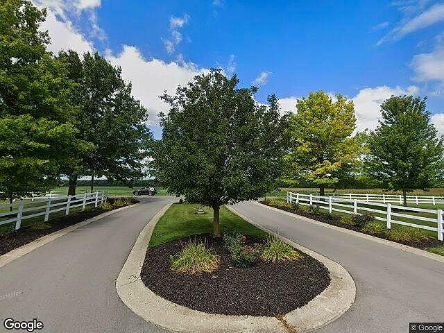 Copper Greens photo 2