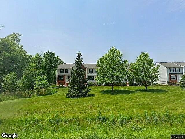 Copper Beech Grand Valley photo 4
