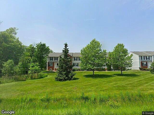 Copper Beech Grand Valley photo 4