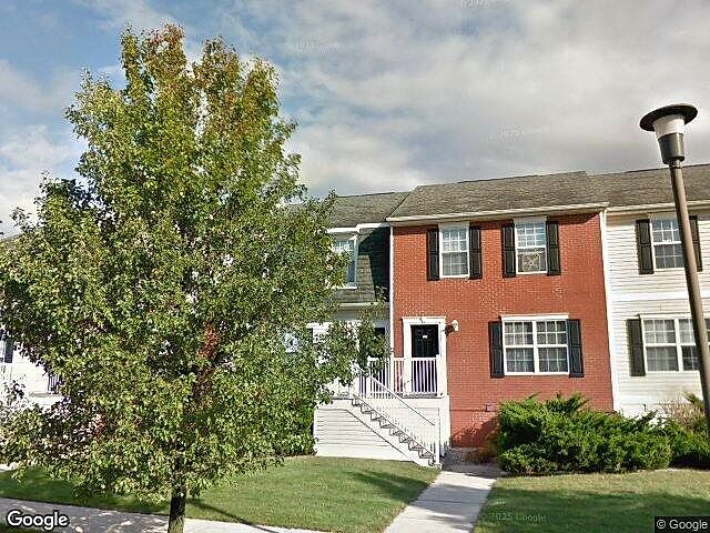 Copper Beech Grand Valley photo 7