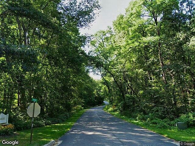 Flat River Forest photo 9