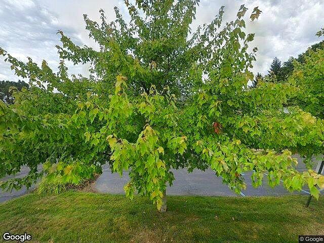 Alfour Commercial Plat No.2 photo 3