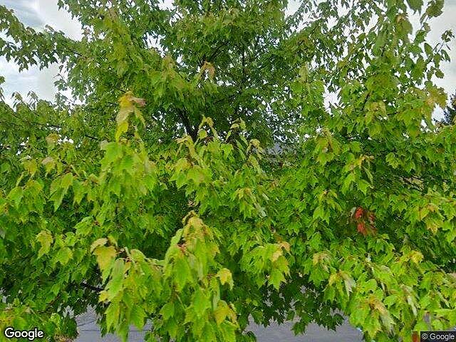 Alfour Commercial Plat No.2 photo 4