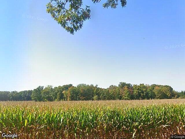 Autumn Wood photo 6