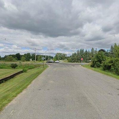 Gaines charter township