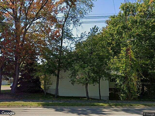 Hummingbird Lane photo 5