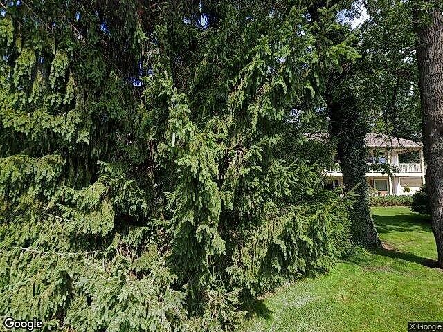 Ivy Wood Condominiums photo 8