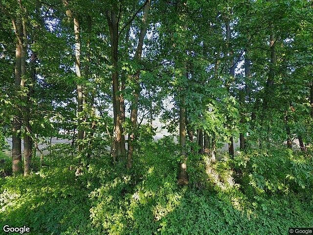Cedar Woods photo 9