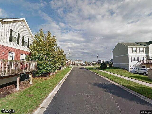 Copper Beech Grand Valley II photo 3