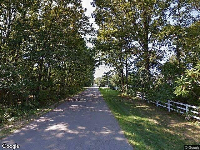 Black Stallion Farms photo 5