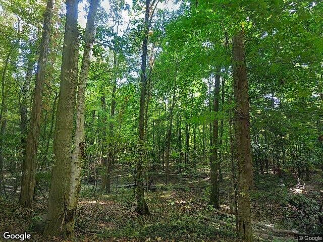Hunters Run photo 3