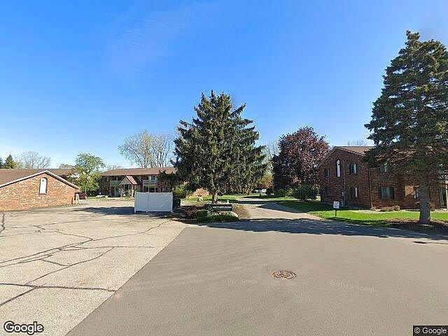 Cottonwood Forest photo 3