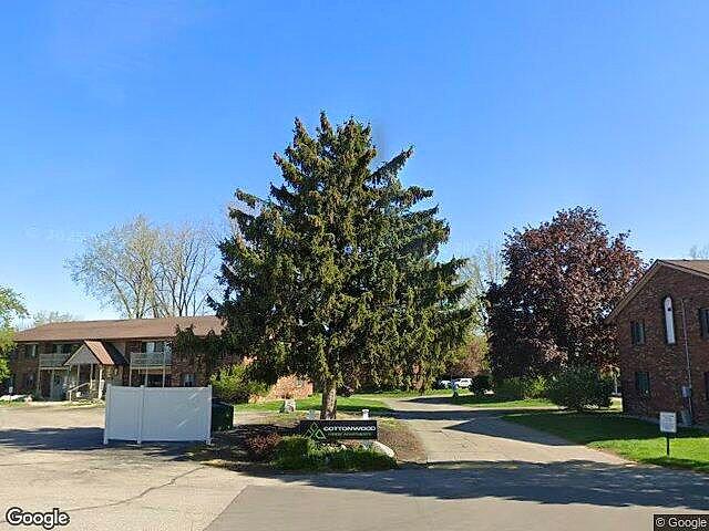 Cottonwood Forest photo 4