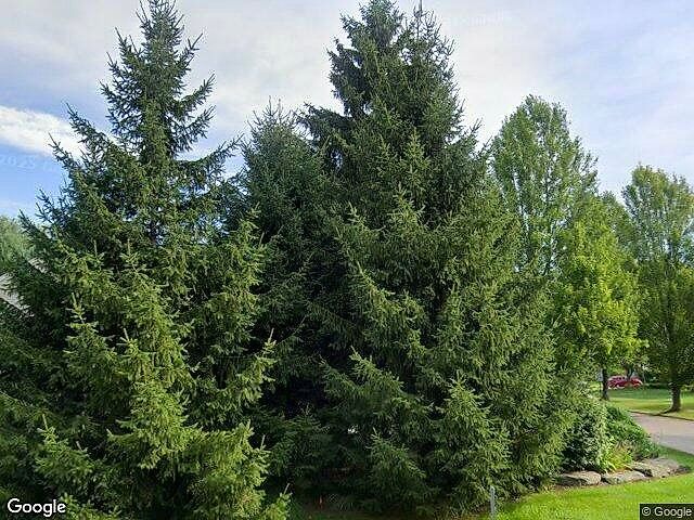 Arbor Woods photo 7