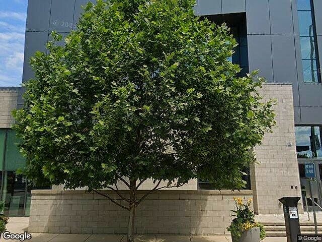 First Street Condominium photo 6