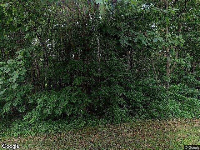 Chanterelle Forest Site Condominiums photo 13