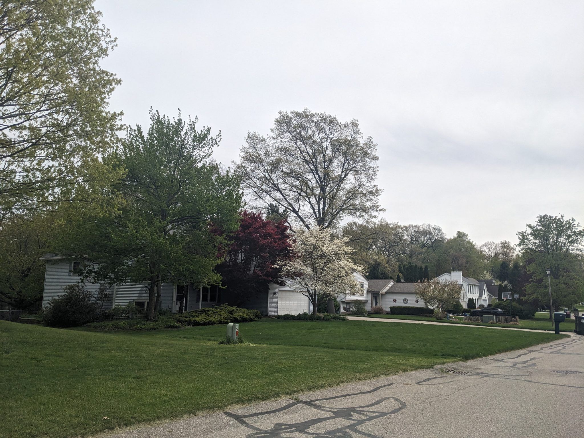 Apple Valley Plat photo 4