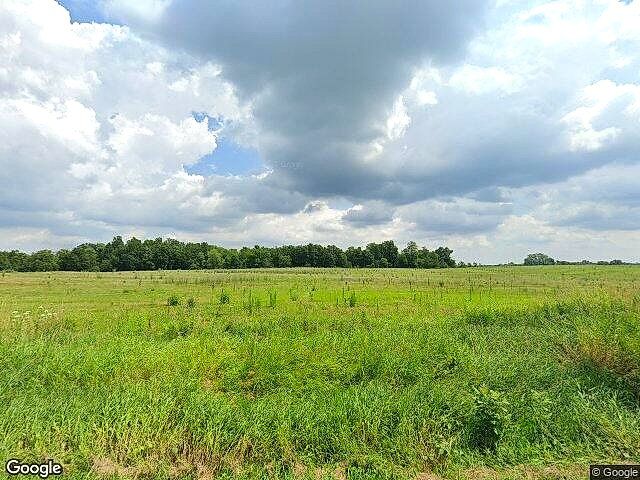 Carlson Farms photo 10
