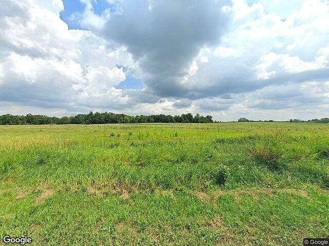 Carlson Farms photo 11