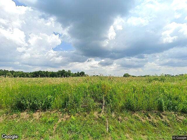 Carlson Farms photo 12