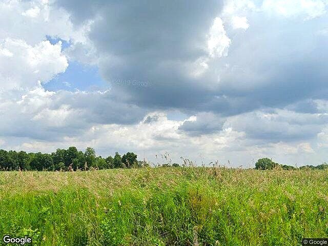 Carlson Farms photo 13