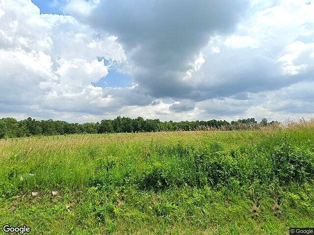 Carlson Farms photo 3