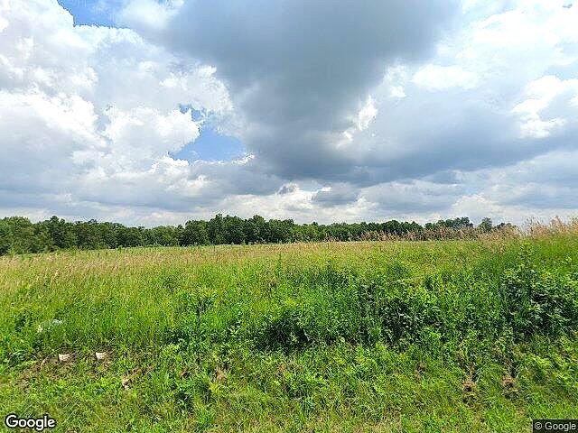 Carlson Farms photo 5