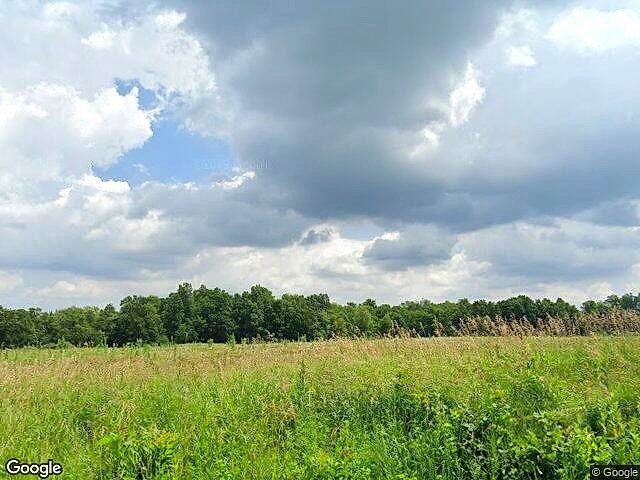 Carlson Farms photo 4