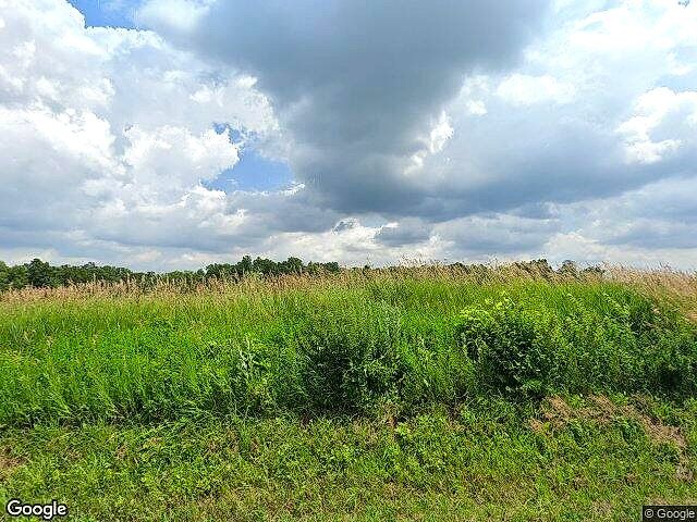 Carlson Farms photo 5