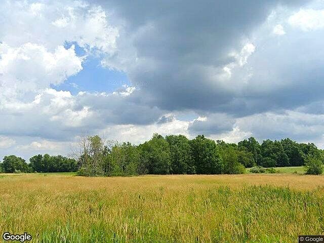 Carlson Farms photo 9
