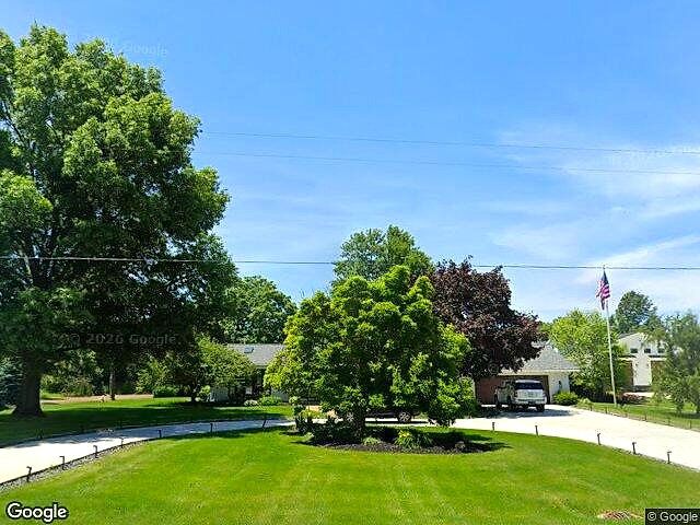 Flag Stick photo 8