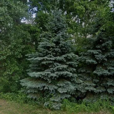 Grand Island View Park