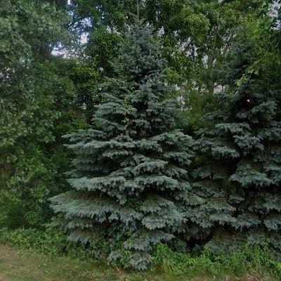 Grand Island View Park